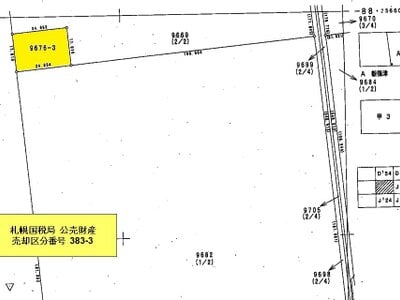 北海道石狩郡新篠津村 豊幌駅 土地 21万円の国税庁公売物件 #10