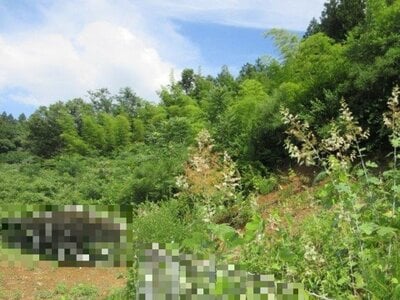 群馬県吾妻郡東吾妻町 小野上温泉駅 土地 34万円の国税庁公売物件 #2