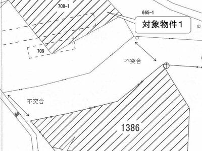 群馬県吾妻郡東吾妻町 小野上温泉駅 土地 34万円の国税庁公売物件 #3