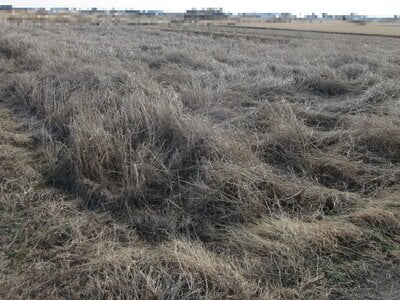 (値下げ) 埼玉県春日部市 南桜井駅23分 農地 47万円の国税庁公売物件 #2