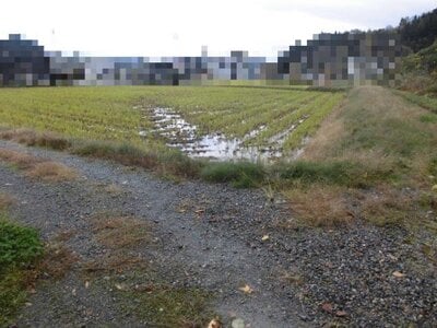 (値下げ) 新潟県長岡市 北条駅 農地 122万円の国税庁公売物件 #2