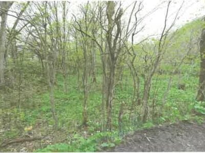 (値下げ) 北海道上川郡上川町 上川駅29分 戸建て 95万円の競売物件 #53