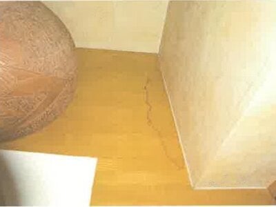 北海道旭川市 近文駅14分 戸建て 446万円の競売物件 #12