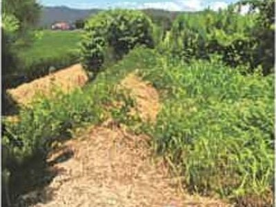 滋賀県長浜市 高月駅24分 農地 85万円の競売物件 #11