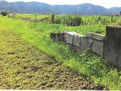 滋賀県長浜市 高月駅24分 農地 85万円の競売物件 #7