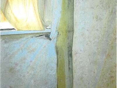 大阪府堺市西区 船尾駅5分 戸建て 1,037万円の競売物件 #13