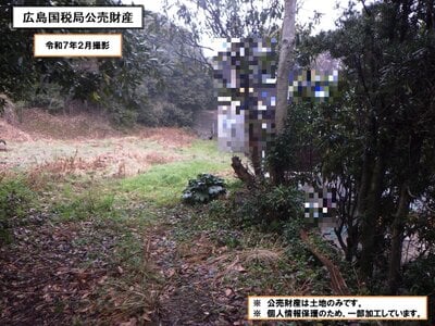 山口県防府市 富海駅16分 農地 74万円の国税庁公売物件 #4