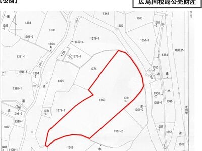 岡山県総社市 日羽駅13分 農地 80万円の国税庁公売物件 #8
