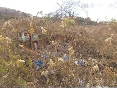 福島県福島市 松川駅 土地 402万円の競売物件 #4