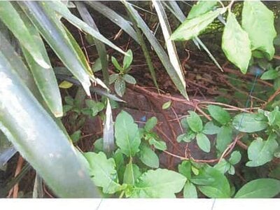 (値下げ) 福島県福島市 金谷川駅25分 戸建て 186万円の競売物件 #10