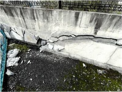 埼玉県川口市 新井宿駅21分 戸建て 1,040万円の競売物件 #6