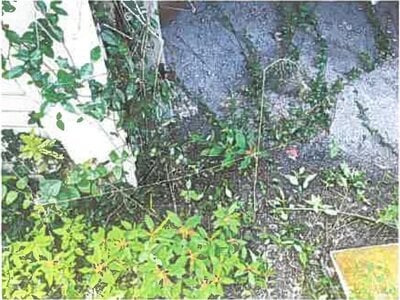 埼玉県日高市 高麗川駅18分 戸建て 1,499万円の競売物件 #29