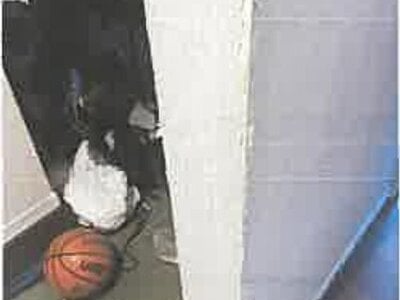 埼玉県坂戸市 坂戸駅9分 戸建て 2,120万円の競売物件 #18