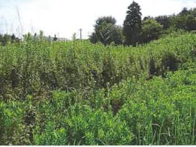 (値下げ) 千葉県大網白里市 永田駅5分 土地 304万円の競売物件 #3