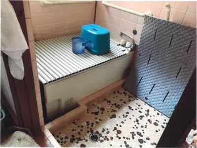 神奈川県平塚市 宮山駅20分 戸建て 272万円の競売物件 #6