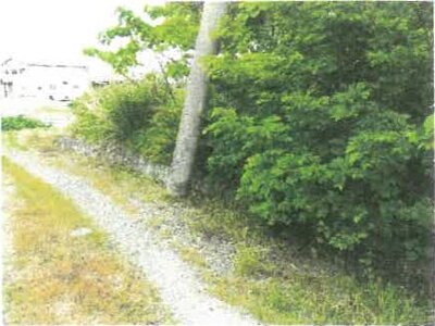 (値下げ) 滋賀県高島市 新旭駅21分 土地 117万円の競売物件 #6