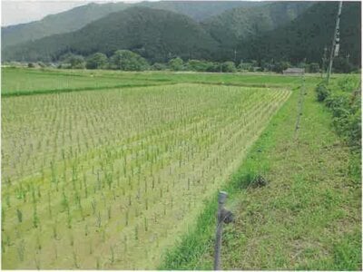 兵庫県丹波市 下夜久野駅 農地 17万円の競売物件 #2