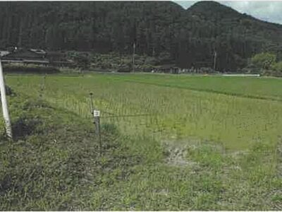 兵庫県丹波市 下夜久野駅 農地 17万円の競売物件 #3