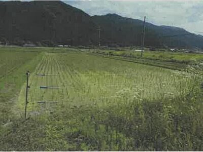兵庫県丹波市 下夜久野駅 農地 17万円の競売物件 #4