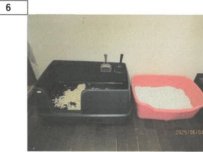 (値下げ) 徳島県板野郡板野町 板野駅10分 戸建て 205万円の競売物件 #4