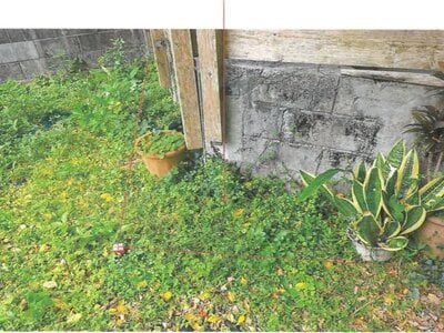 沖縄県那覇市 安里駅22分 戸建て 1,103万円の競売物件 #15