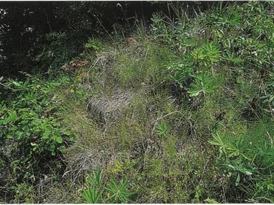 北海道北見市 西北見駅 戸建て 282万円の競売物件 #13