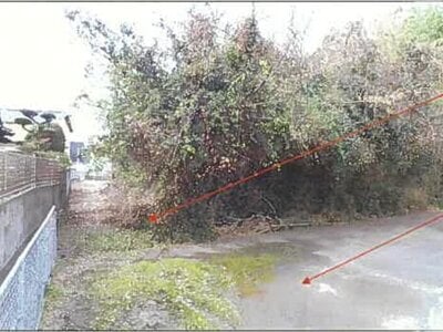 (値下げ) 熊本県八代市 八代駅10分 農地 30万円の競売物件 #10