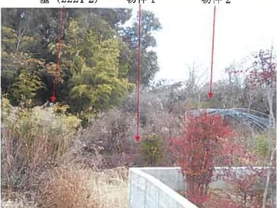 (値下げ) 熊本県八代市 八代駅10分 農地 30万円の競売物件 #5