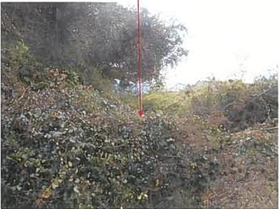 (値下げ) 熊本県八代市 八代駅10分 農地 30万円の競売物件 #6