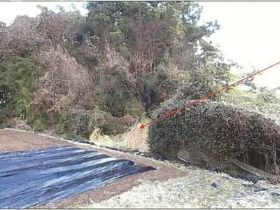 (値下げ) 熊本県八代市 八代駅10分 農地 30万円の競売物件 #8