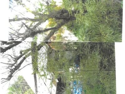 大分県杵築市 杵築駅 戸建て 69万円の競売物件 #3