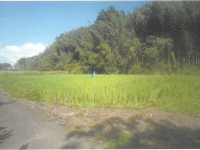 (値下げ) 大分県速見郡日出町 大神駅10分 農地 23万円の競売物件 #2