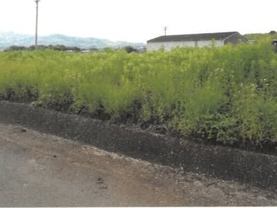 (値下げ) 大分県速見郡日出町 大神駅17分 農地 24万円の競売物件 #2