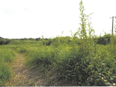 (値下げ) 大分県速見郡日出町 大神駅17分 農地 40万円の競売物件 #2