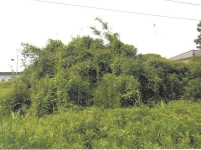 (値下げ) 大分県速見郡日出町 大神駅17分 農地 40万円の競売物件 #3