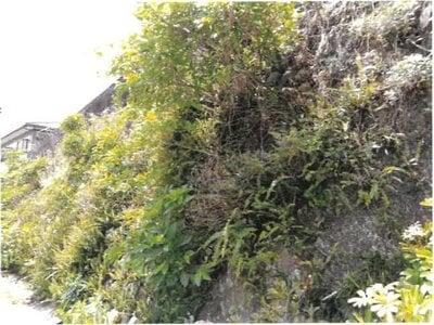 (値下げ) 宮崎県延岡市 南延岡駅10分 戸建て 75万円の競売物件 #17