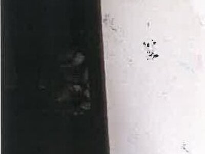 宮崎県都城市 餅原駅17分 戸建て 224万円の競売物件 #10