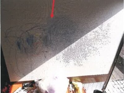 宮崎県都城市 餅原駅17分 戸建て 224万円の競売物件 #12