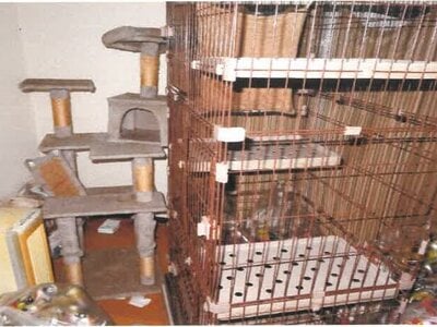 宮崎県都城市 餅原駅17分 戸建て 224万円の競売物件 #15