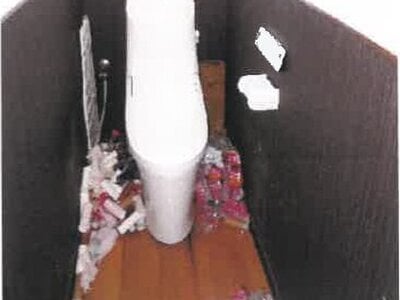 宮崎県都城市 餅原駅17分 戸建て 224万円の競売物件 #18