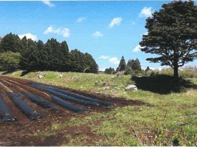 (値下げ) 宮崎県都城市 霧島神宮駅 戸建て 1,144万円の競売物件 #30