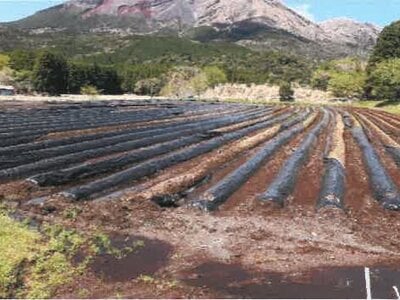 (値下げ) 宮崎県都城市 霧島神宮駅 戸建て 1,144万円の競売物件 #32