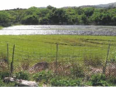 (値下げ) 宮崎県都城市 霧島神宮駅 戸建て 1,144万円の競売物件 #37