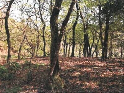 (値下げ) 宮崎県都城市 霧島神宮駅 戸建て 1,144万円の競売物件 #44