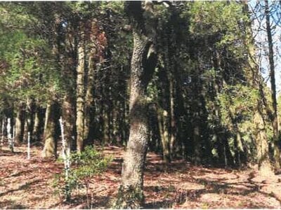 (値下げ) 宮崎県都城市 霧島神宮駅 戸建て 1,144万円の競売物件 #45