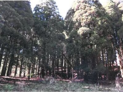 (値下げ) 宮崎県都城市 霧島神宮駅 戸建て 1,144万円の競売物件 #46