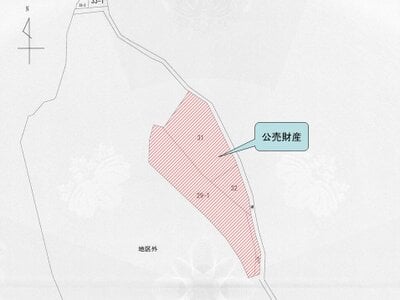 兵庫県宝塚市 日生中央駅 戸建て 264万円の国税庁公売物件 #3