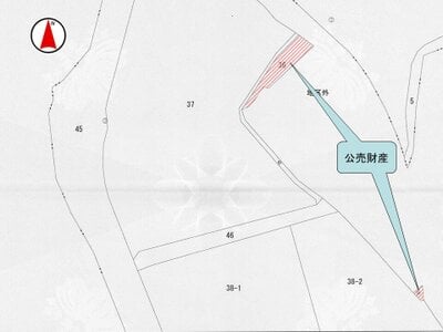 兵庫県宝塚市 日生中央駅 戸建て 264万円の国税庁公売物件 #4