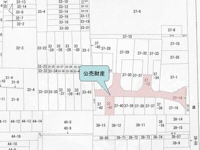 大阪府大阪市生野区 寺田町駅13分 戸建て 746万円の国税庁公売物件 #4