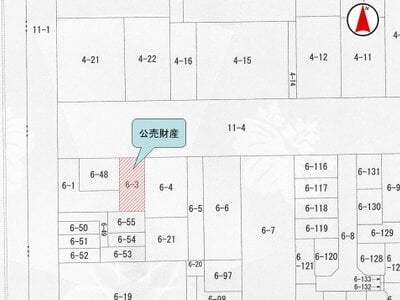 大阪府大阪市鶴見区 放出駅7分 戸建て 1,887万円の国税庁公売物件 #2